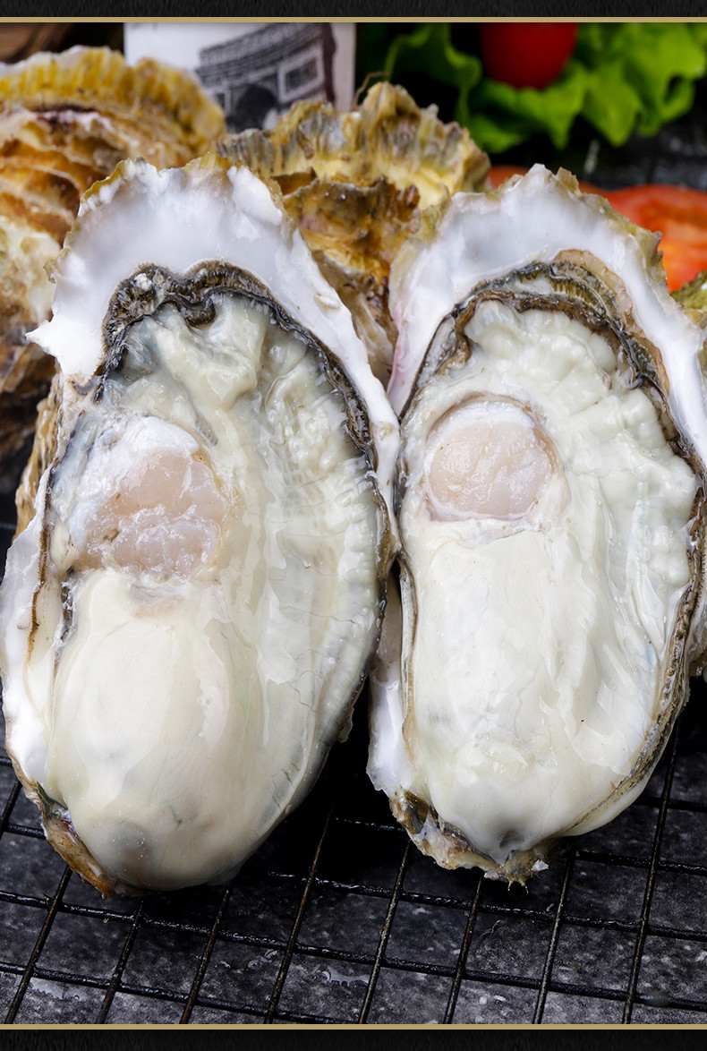 生蚝牡蛎海鲜鲜活海蛎子新鲜即食超大生蚝肉海鲜水产贝类现挖牡蛎 大