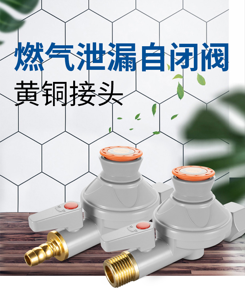 家用燃气管道自闭阀天然气漏气自动断气燃气灶超压欠压安全保护阀