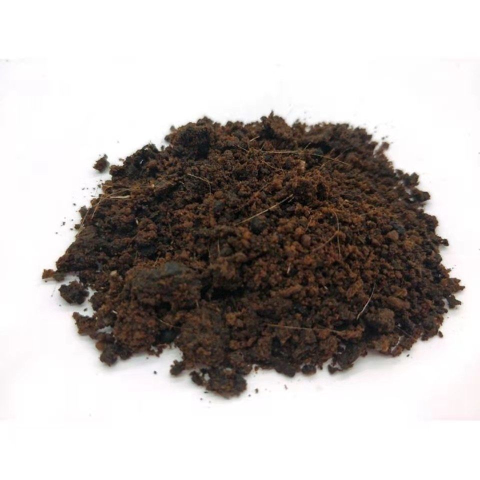 有仁堂麝香中药材西藏麝香高含量养殖麝香麝香粉仁药用年货麝香仁6年2