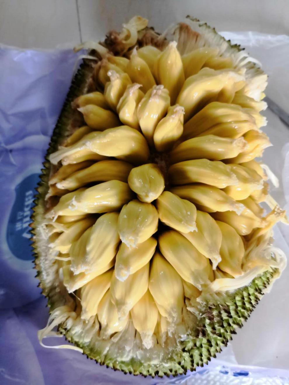 青樱红荔【软糯香甜】茂名高州湿苞菠萝蜜 软糯湿包 树菠萝 湛江广东