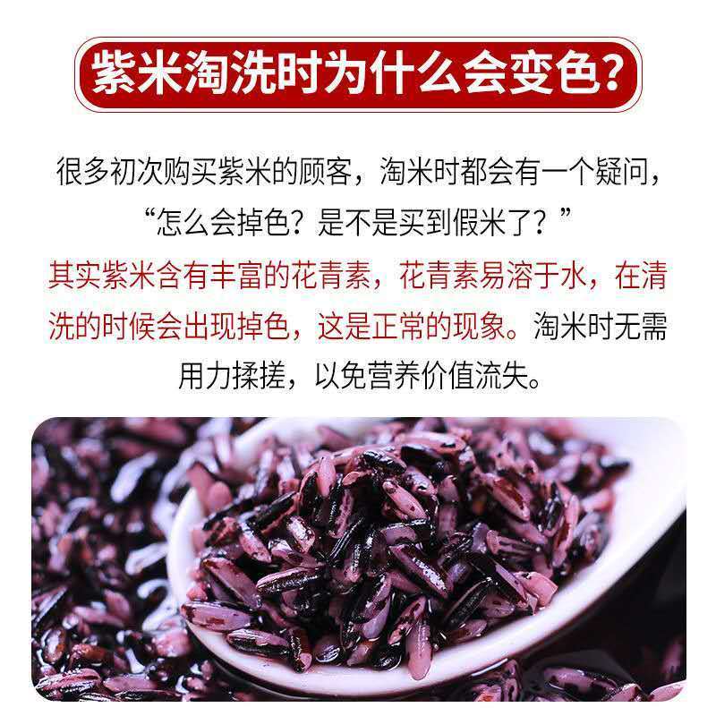 云南特产紫米紫糯米农家自种紫米墨江紫糯米五谷杂粮熬粥稀饭紫米3斤