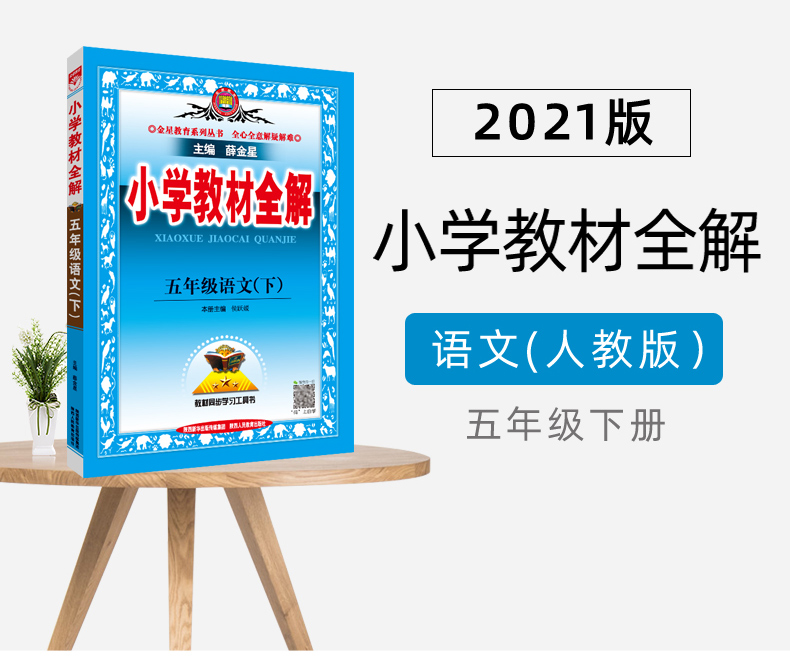 2021新版薛金星小学教材全解五年级下册语文配套部编人教版小学生5