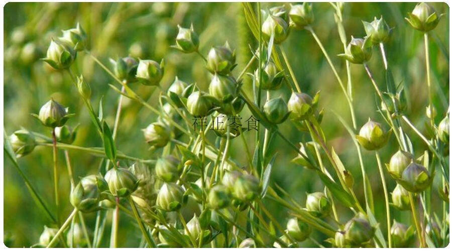 阿伊舍纯正胡麻油宁夏正宗压榨亚麻籽油熟榨亚麻籽油5升桶装5l纯正胡