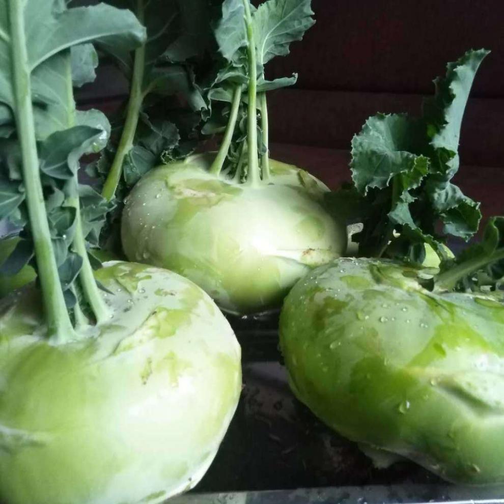 轻恋苤蓝新鲜农家自种苤蓝疙瘩大头菜甘蓝下饭菜整箱生鲜团建son礼10