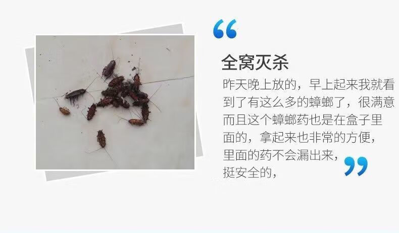 炫辉 蟑螂药家用一窝端厨房卧室蟑螂克星灭虫神器除螨一扫光 2盒(共16枚)