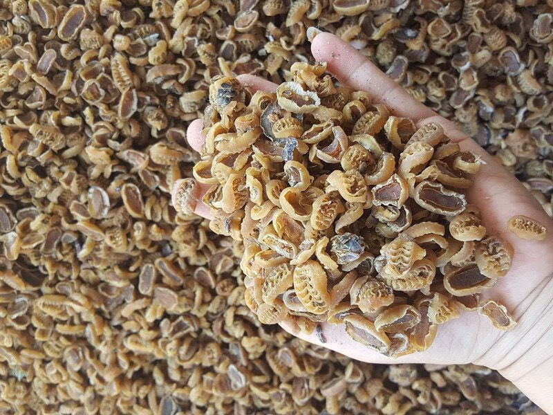 10027864645141商品名称:小鲍鱼七星鲍鱼海鲜干货特产晾晒足干鲍鱼干