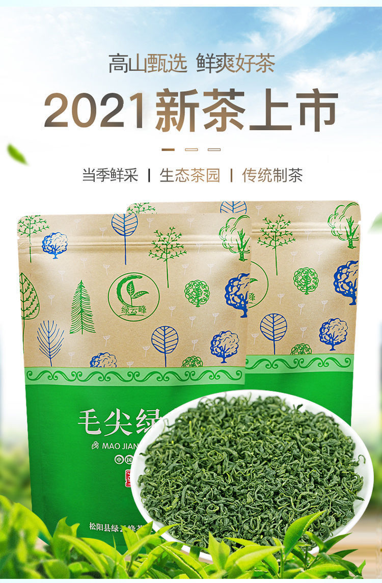 顺丰发货 2022新茶毛尖绿茶【一斤】绿茶茶叶明前一级袋装浓香型500g 毛尖绿茶500克