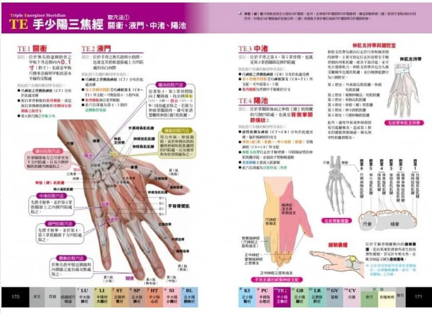 经穴大全坂元大海枫书坊台正版原版繁体中文版进口书 神话典传图书专营店 摘要书评试读 京东图书