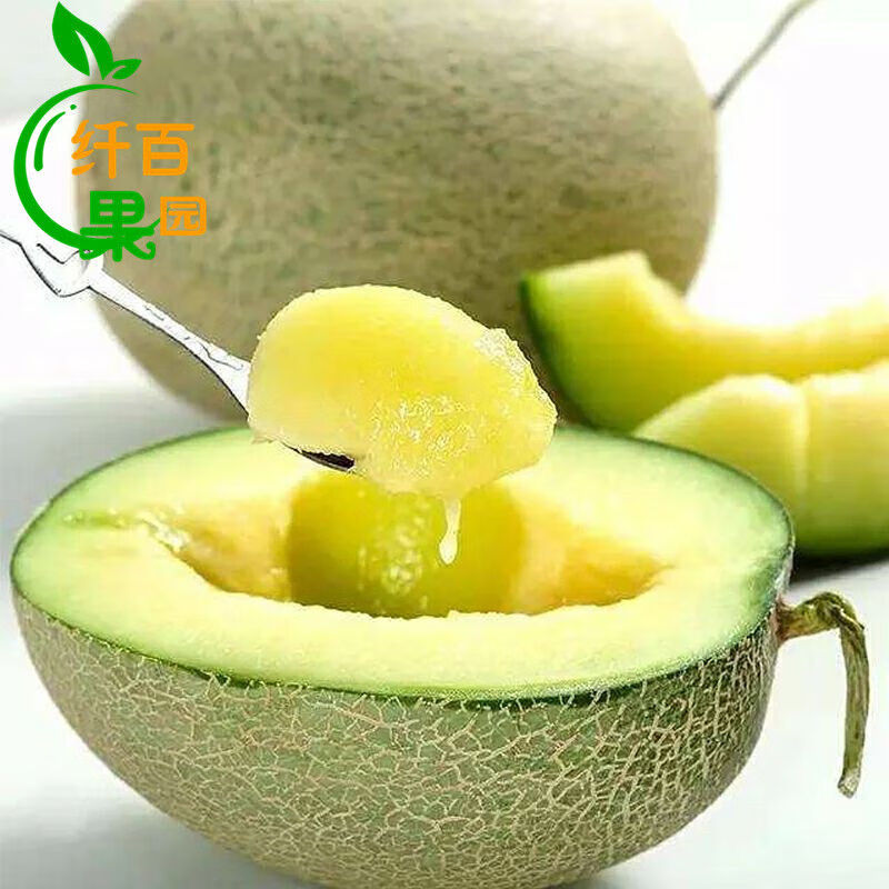 鲜其 日本引种静冈玟珑蜜瓜精品网纹瓜可口蜜新鲜水果 2个装约5斤