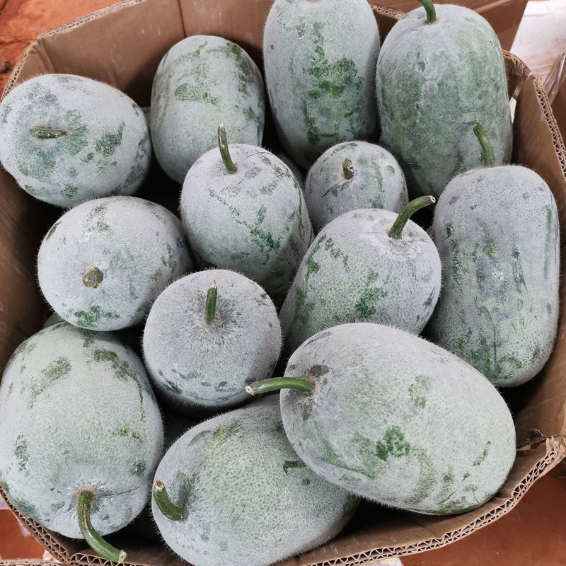 外园【高品质】新鲜迷你水果小冬瓜香冬瓜批发挂霜白皮绿色蔬菜毛冬瓜