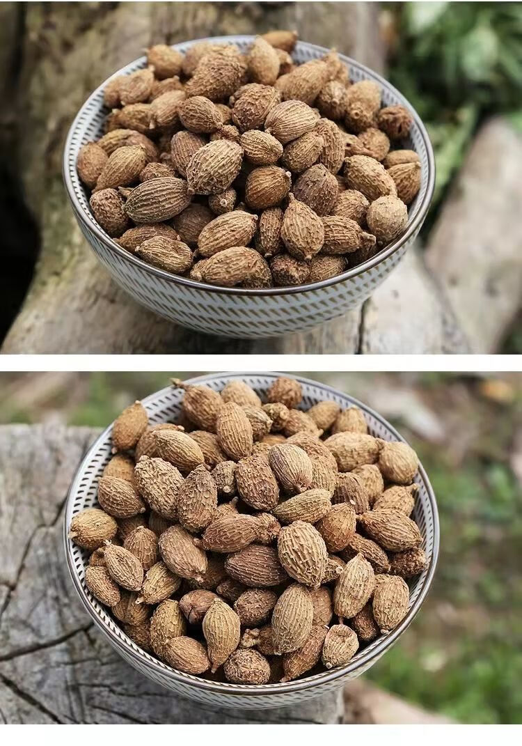 北京同仁堂官方原料砂仁中药材精选砂仁毛砂仁香料阳春砂仁粉怡福寿