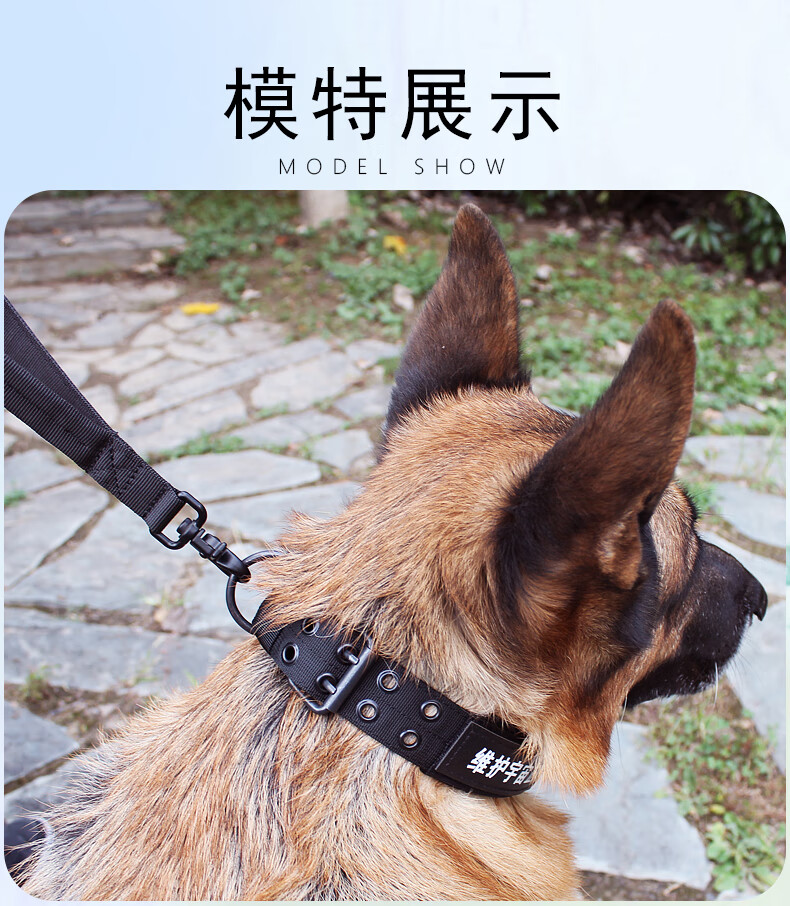 马犬牵引绳狗狗项圈大型犬狗项圈颈圈金毛德牧马犬拉布拉多脖圈狗链