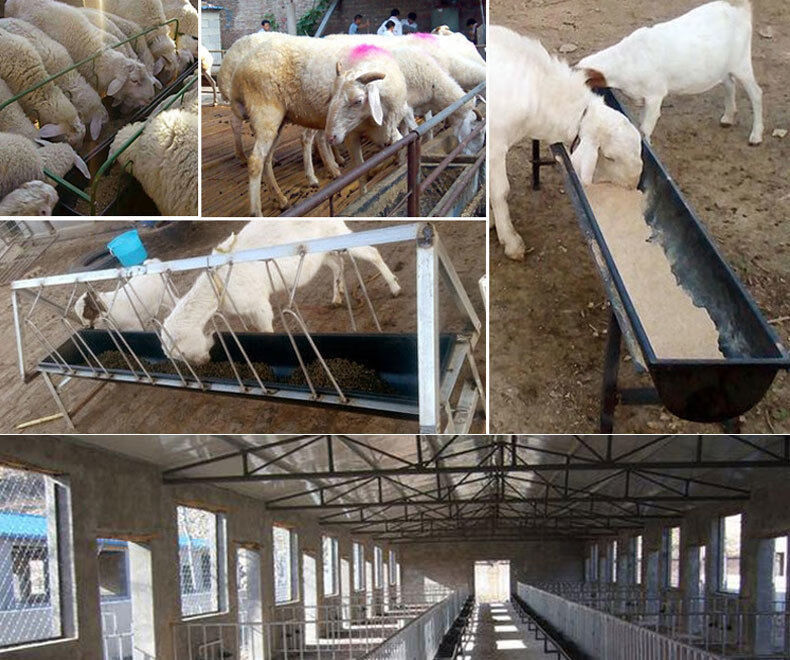 牛羊马食槽喂羊的槽子塑胶食槽加大加厚牛槽 羊槽子料槽水槽牛槽 新型