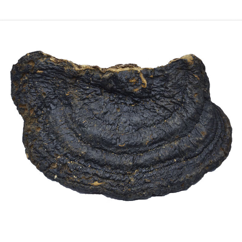 伟博 正宗野生薄树芝薄盖灵芝香芝野生灵芝林芝干品250克可切片【图片