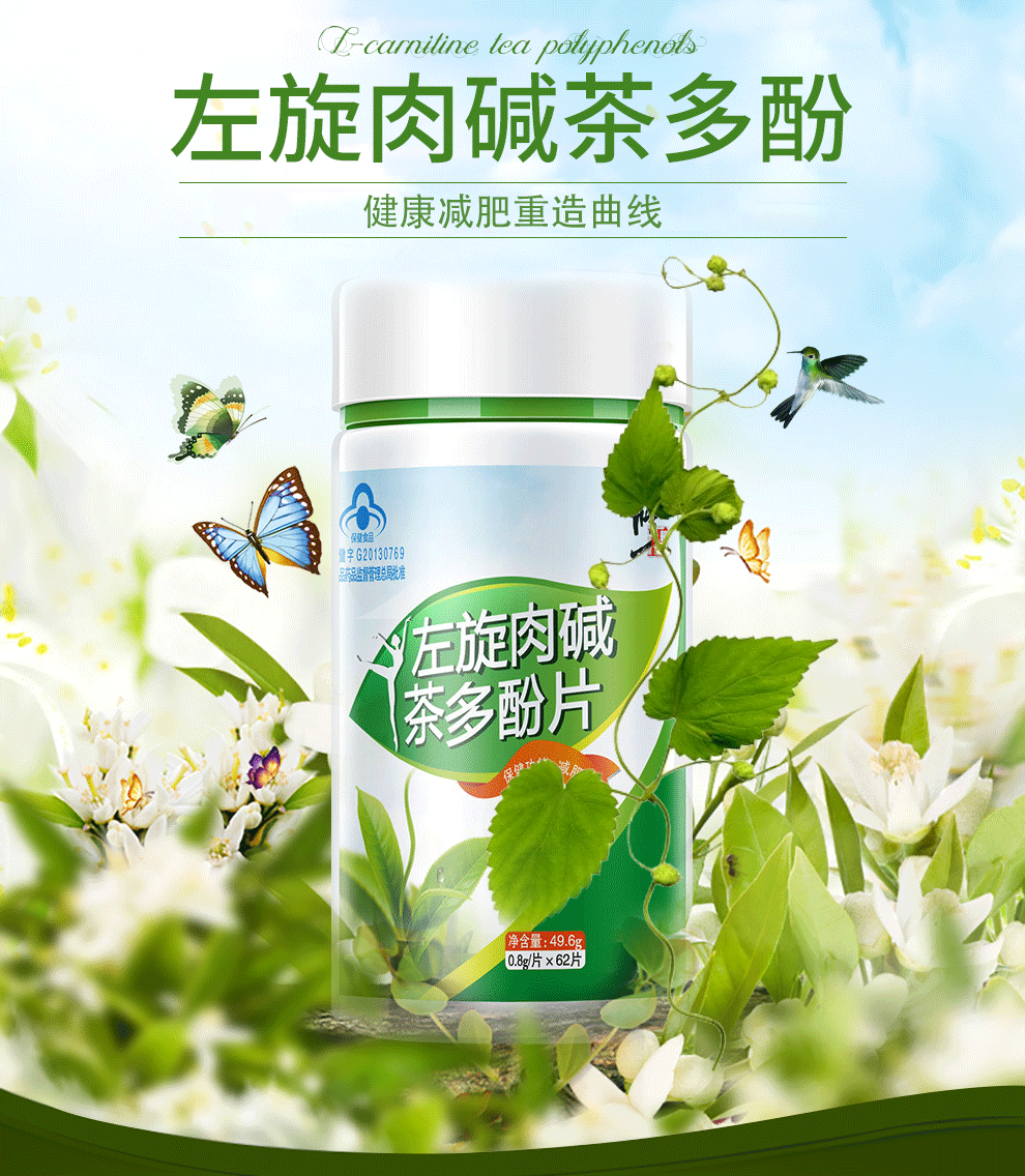 精选修正减肥左旋肉碱茶多酚片保健食品减肥产品夏日1瓶尝鲜装
