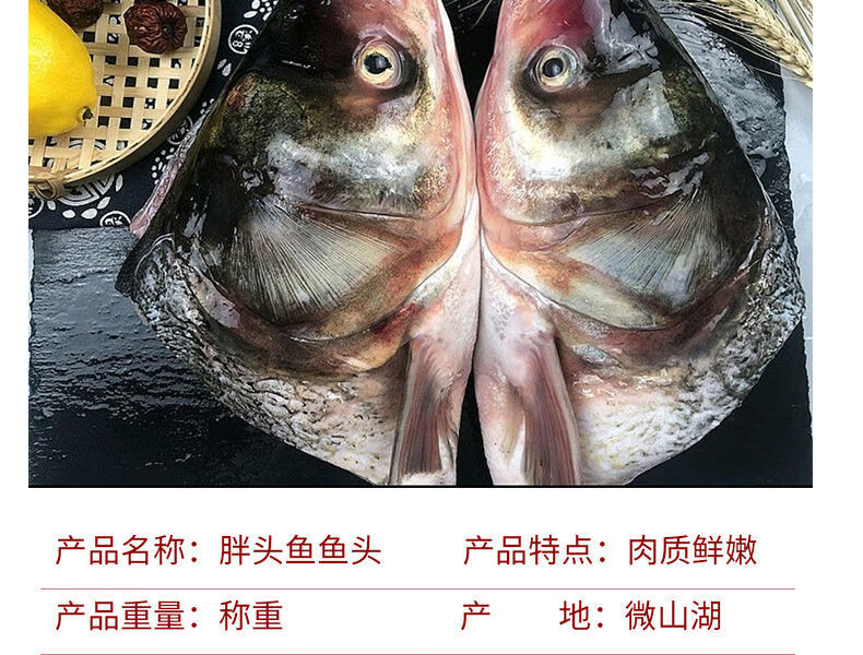 胖頭魚鰱魚頭剁椒魚頭魚頭煲湯花鰱大頭白鰱新鮮 花鰱【魚身】4斤(2-4