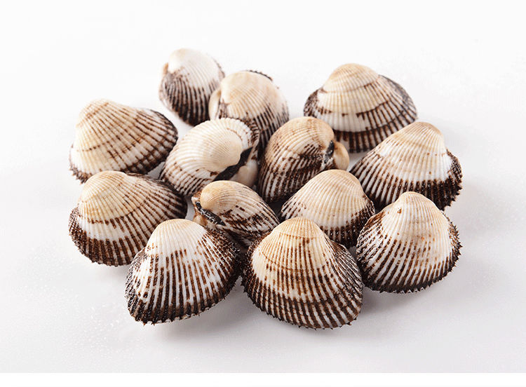 赤贝血蛤鲜活新鲜海鲜贝类嘎啦大毛蚬子毛蛤蜊刺身毛蚶 鲜活4斤【图片