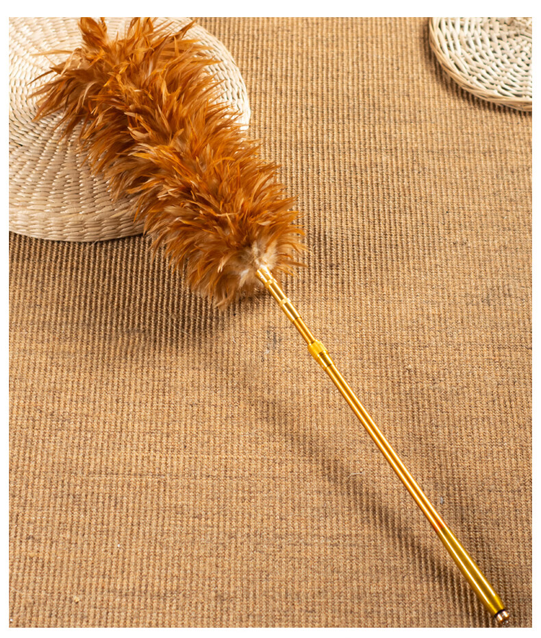 鸡毛禅子家用扫灰除尘打扫不易掉毛车用可伸缩真鸡毛掸子老式毯子195