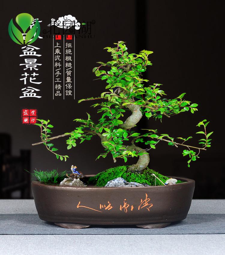 宜兴紫砂微型花盆长方圆形有孔兰花盆景盆四方多肉特大号马槽 黑色 红