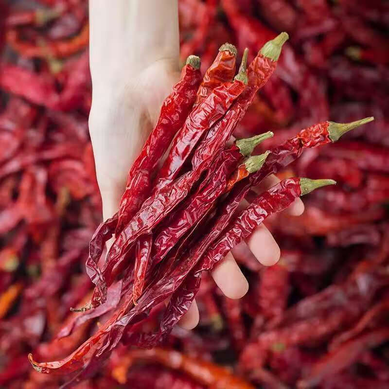 四川二荆条干辣椒中辣特香一斤提色提香辣椒粉面二荆条干辣椒 二荆条