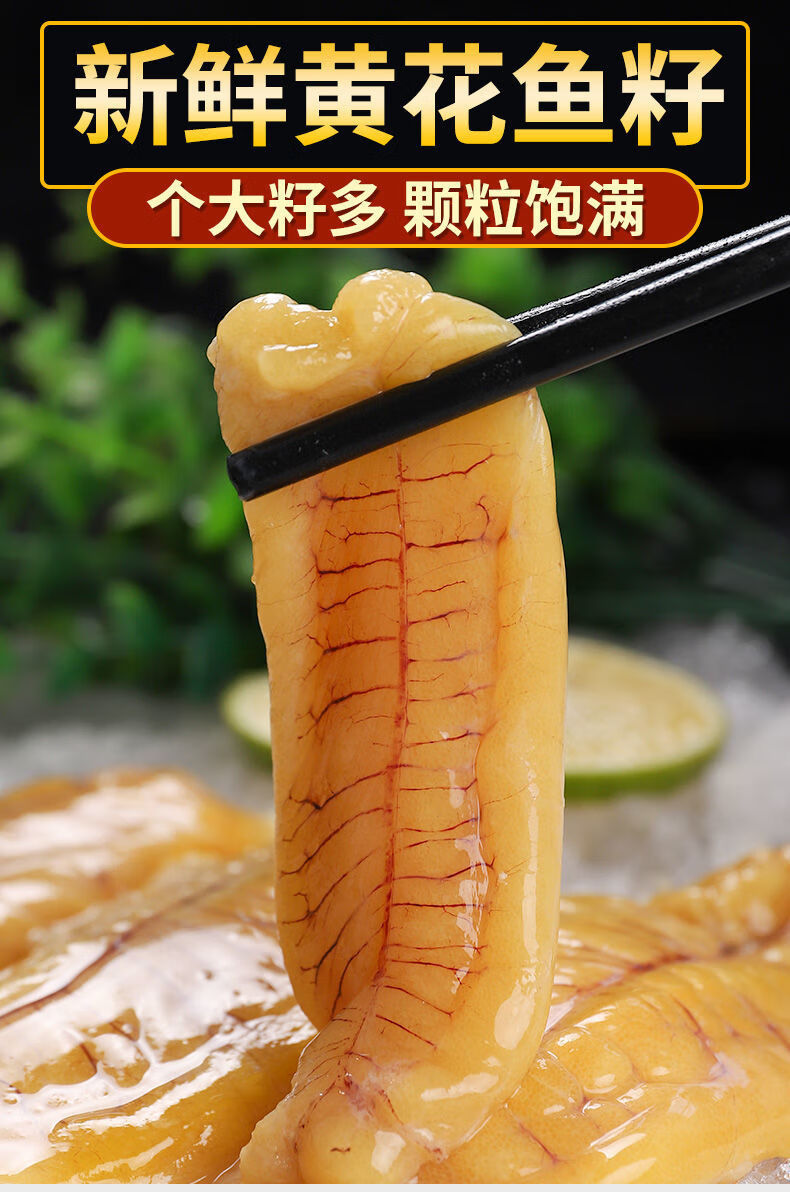 顺丰直达 新鲜黄花鱼籽鱼子大黄鱼籽海鱼籽鱼卵海鲜水产 坏单包赔