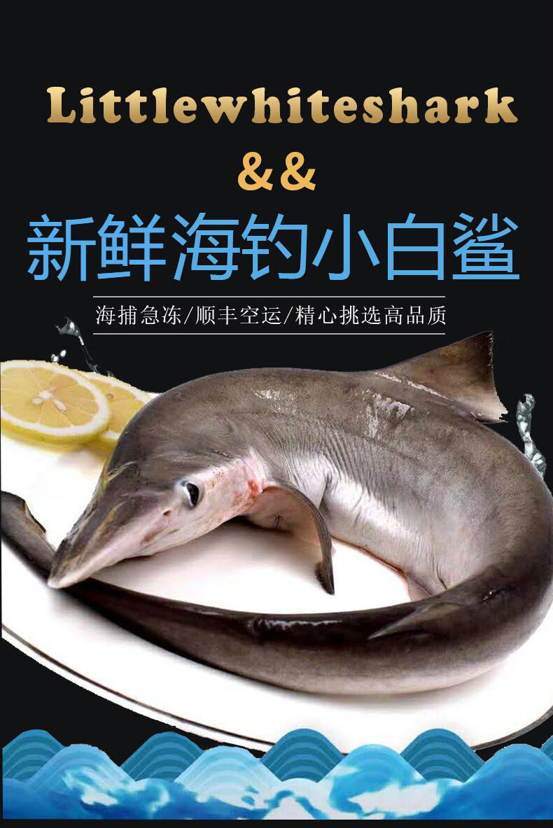 铭心旗舰店鲜活海捕食用小鲨鱼小白鲨大鲨鱼1斤5斤只冷冻锁鲜发货大