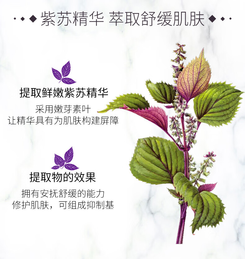 紫苏蛋白乳焕颜防护面膜控油紧致毛孔护肤品化妆品紫苏蛋白乳修护面膜