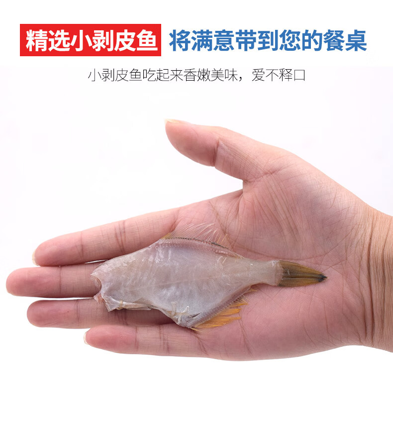 小耗儿鱼新鲜火锅食材剥皮鱼橡皮鱼马面鱼扒皮鱼宁波冷冻海鲜水产