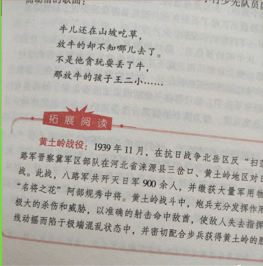 红色经典小英雄雨来长征雷锋抗日英雄人物故事爱国教育书小学生 闪闪