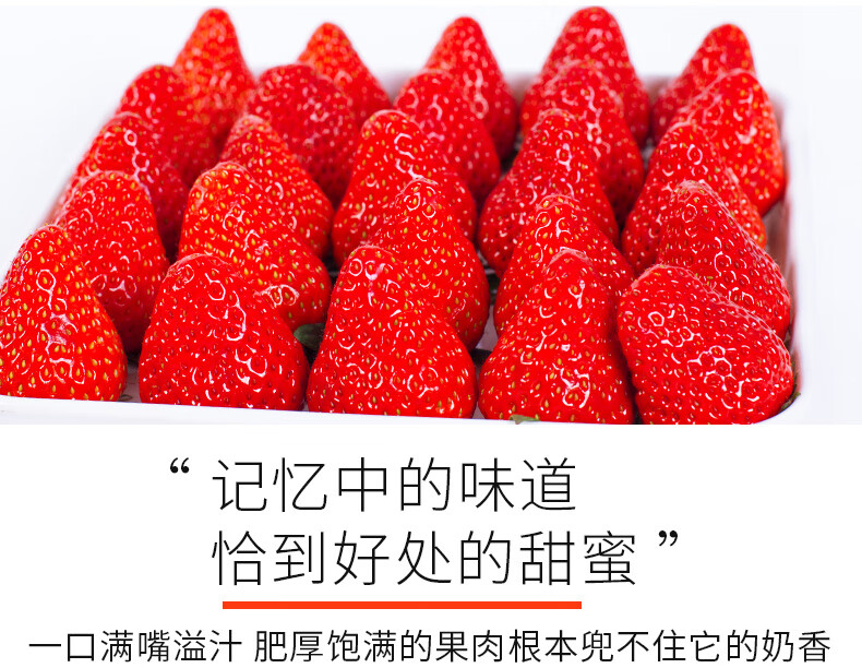 c14953b021b20d40.jpg