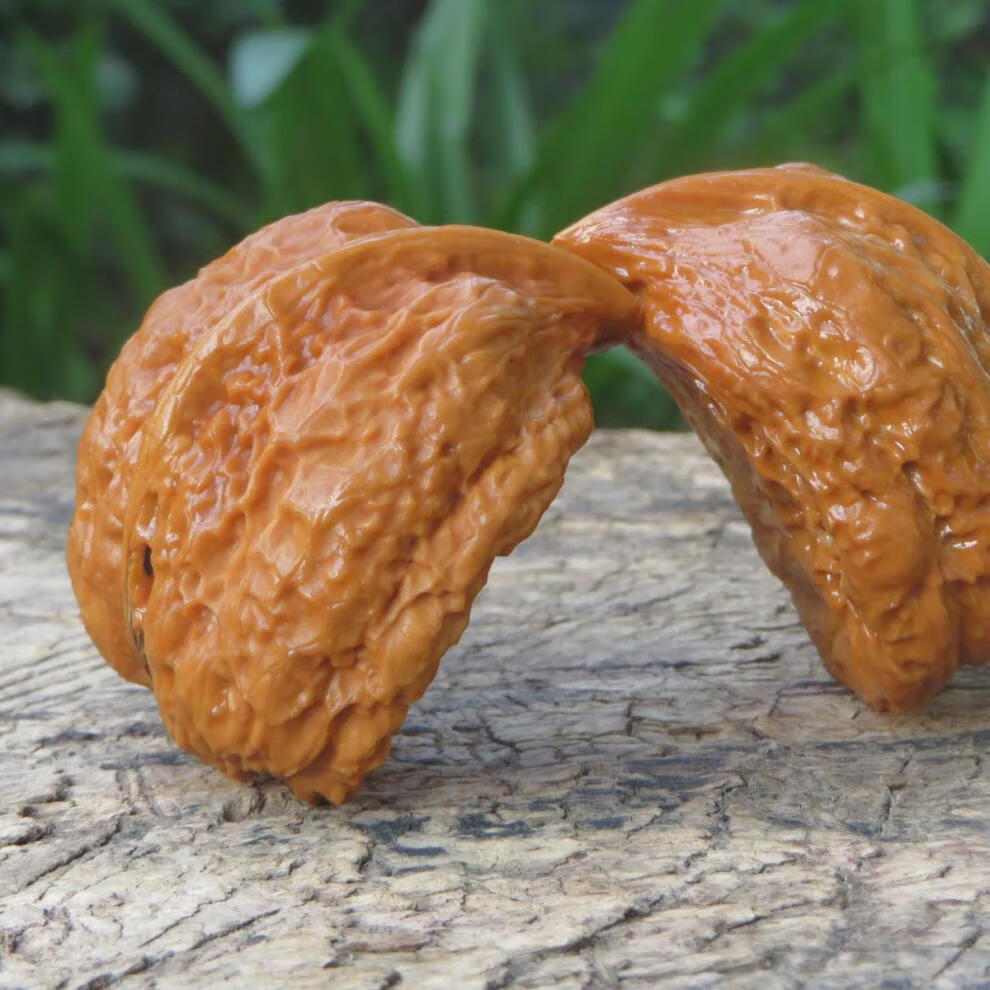 魅丽饰季文玩核桃 异形大鹰嘴 佛肚 偏月 半壁江山 精品配对着色快个