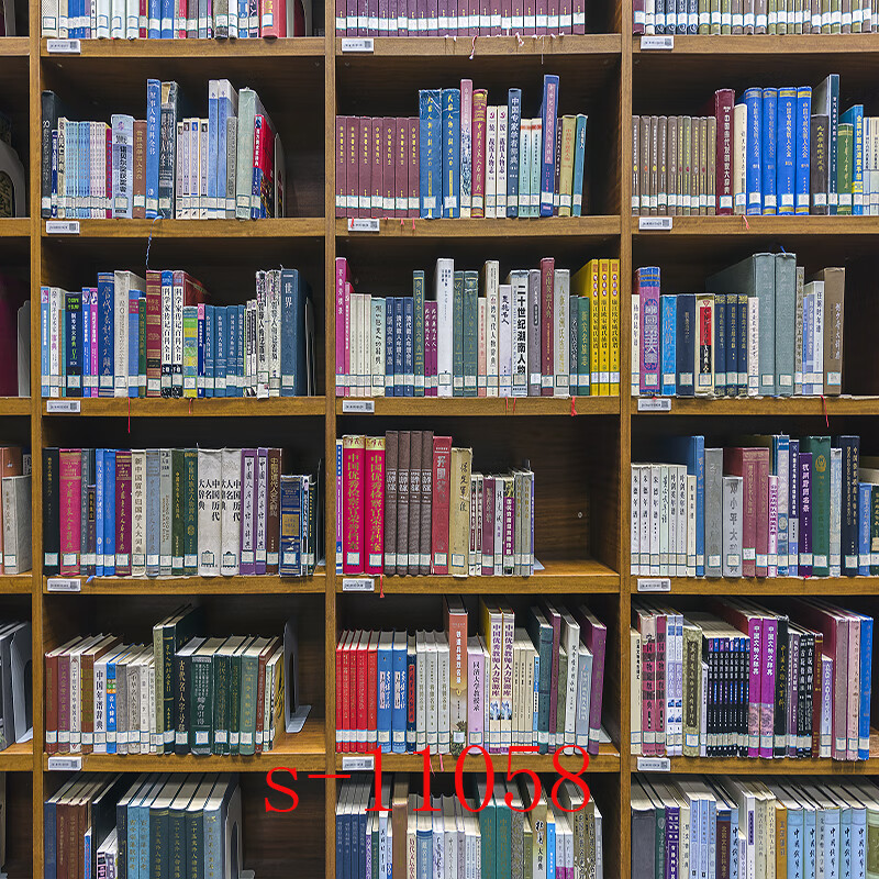 书架背景布3d立体书柜直播背景墙讲师主播录视频背景布书架书房拍摄