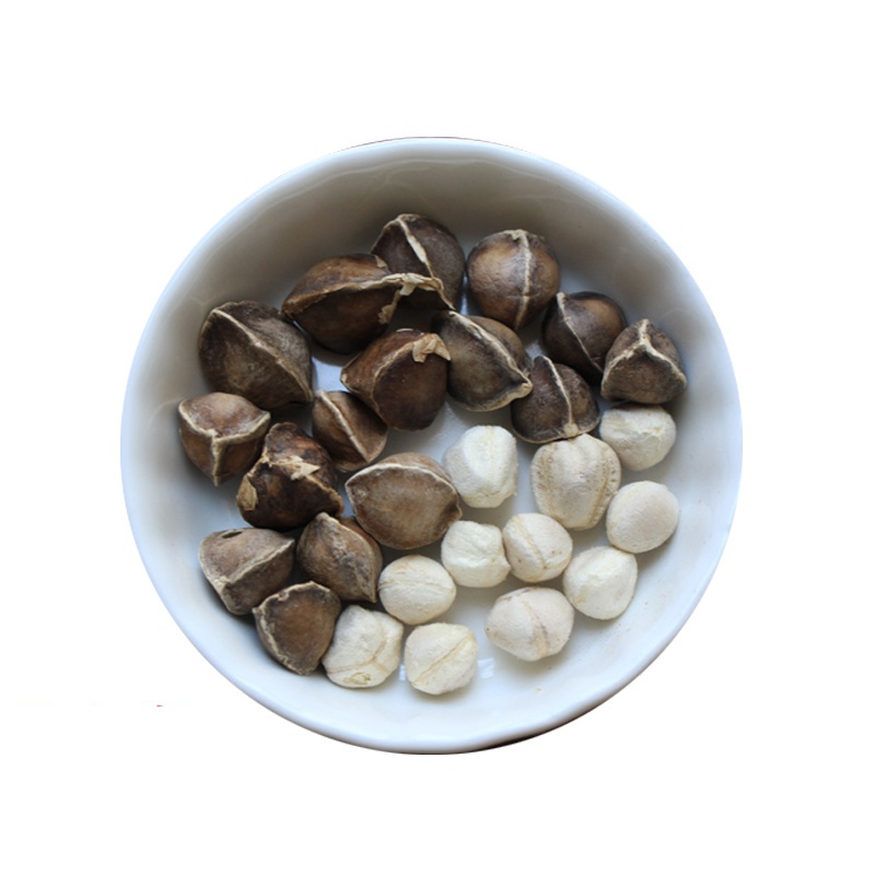 特产大颗粒印度辣木籽进口天然野生正宗木辣子辣木子食用250克【图片