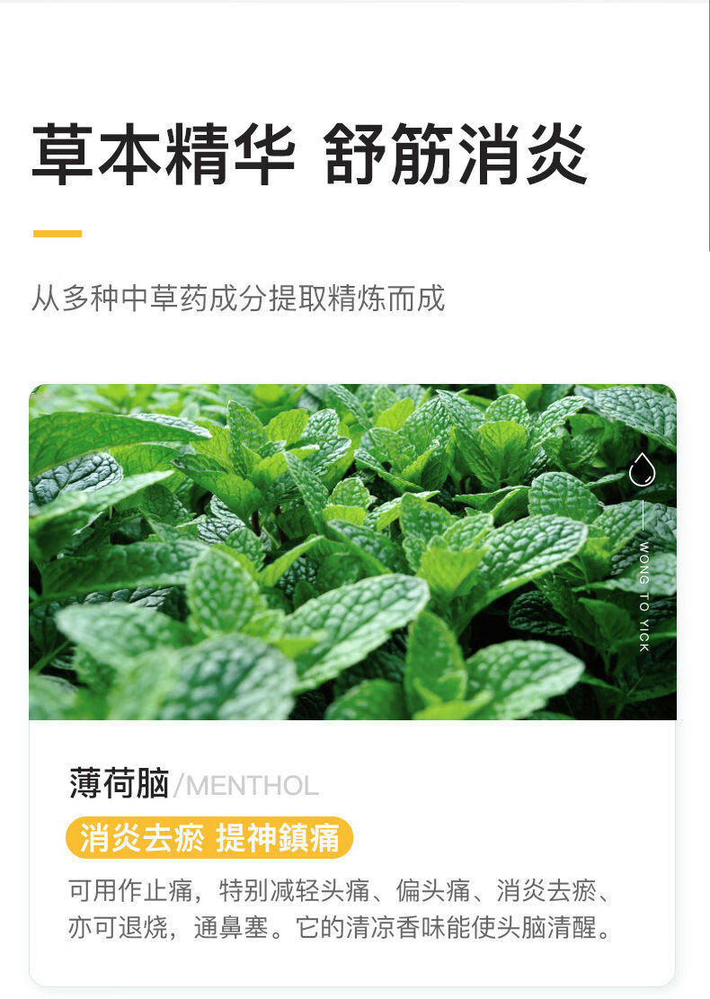 37811-万物之源 舒筋扭伤腰酸背痛颈椎腰椎劳损祛风散瘀血跌打油 活洛油2盒装-详情图