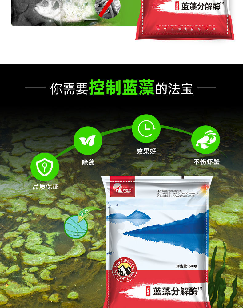 除藻剂去苔蓝藻分解酶除蓝藻分解精蓝藻速灭除藻剂鱼虾塘水产养殖生物