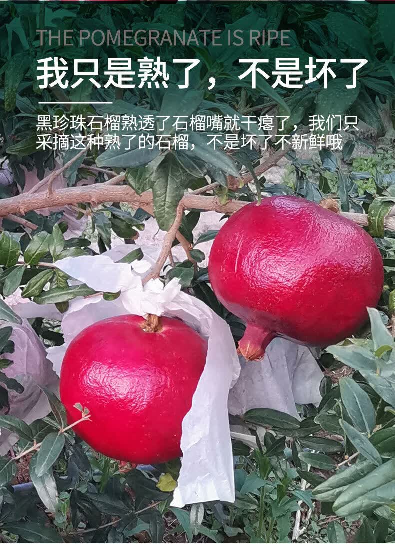 严选精品云南黑籽珍珠酸石榴当季新鲜酸甜孕妇精品水果非突尼斯软籽大