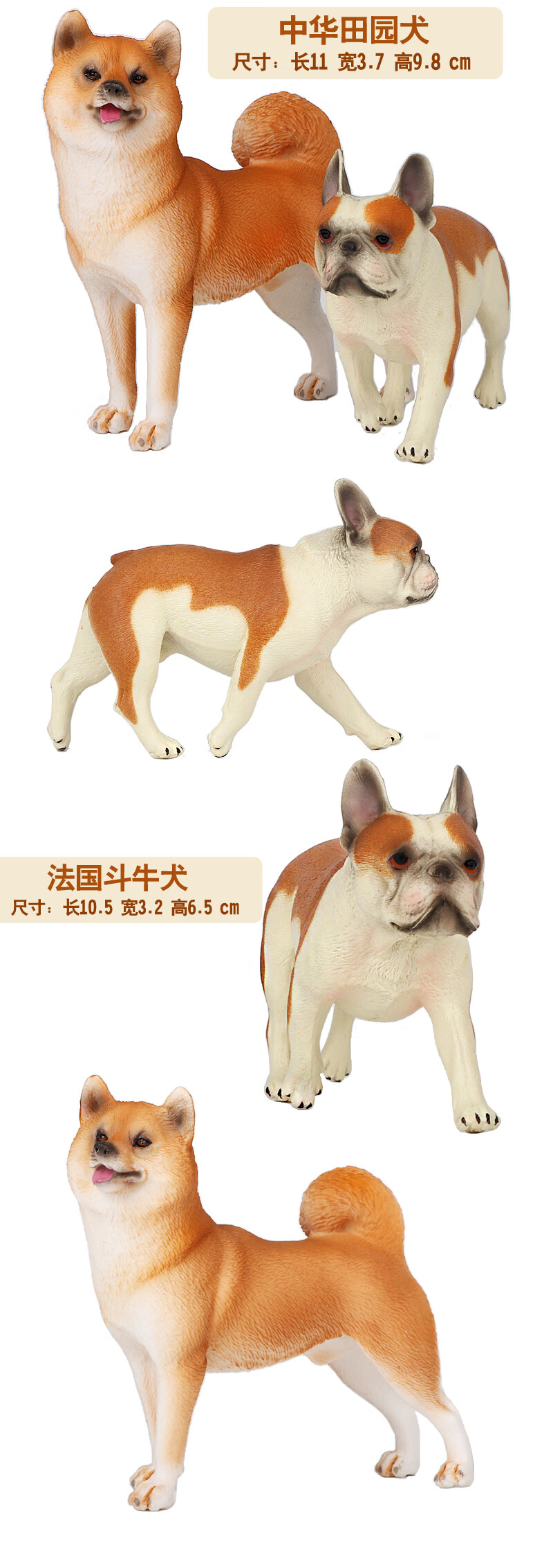 柴犬模型 仿真动物模型金毛犬秋田犬柴犬斗牛犬宠物狗塑胶实心玩具