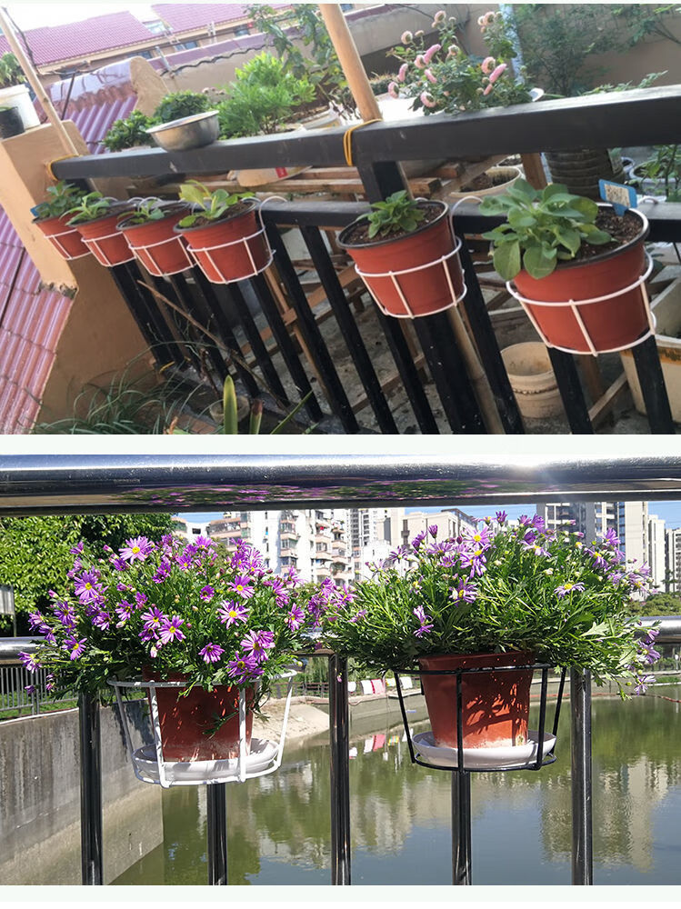花盆架阳台铁艺多肉绿萝盆栽花架壁挂护栏窗台悬挂置物架白色圆挂架2