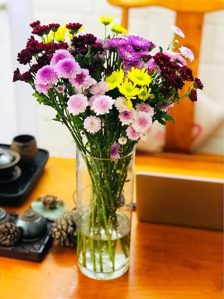 小雏菊洋甘菊安娜菊面包菊乒乓菊鲜花家庭生活瓶插花云南粉研十支不含