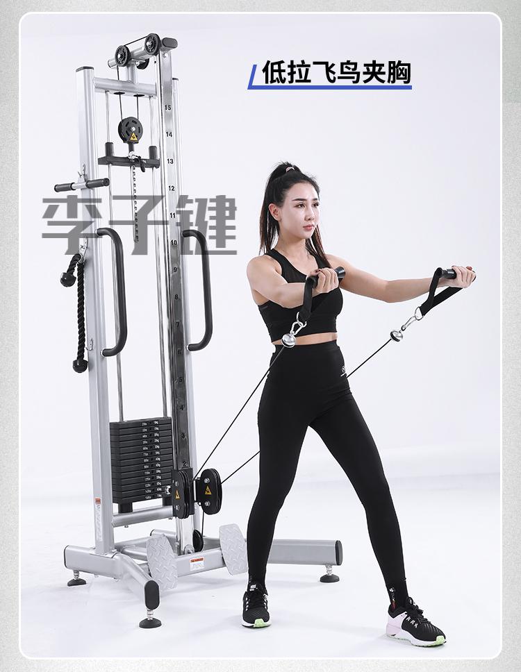 单边飞鸟龙门架训练器高拉低拉一体家用健身多功能综合力量训练架健身