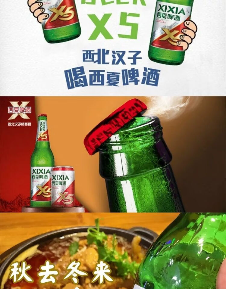 西夏啤酒 x5 大红瓶12瓶装口服液叉五嘉士伯旗下京雪花熟黄 12瓶装
