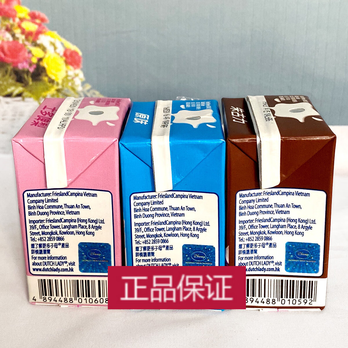 广东香港版进口荷兰子母奶原味草莓朱古力牛奶110ml48盒云呢拿味