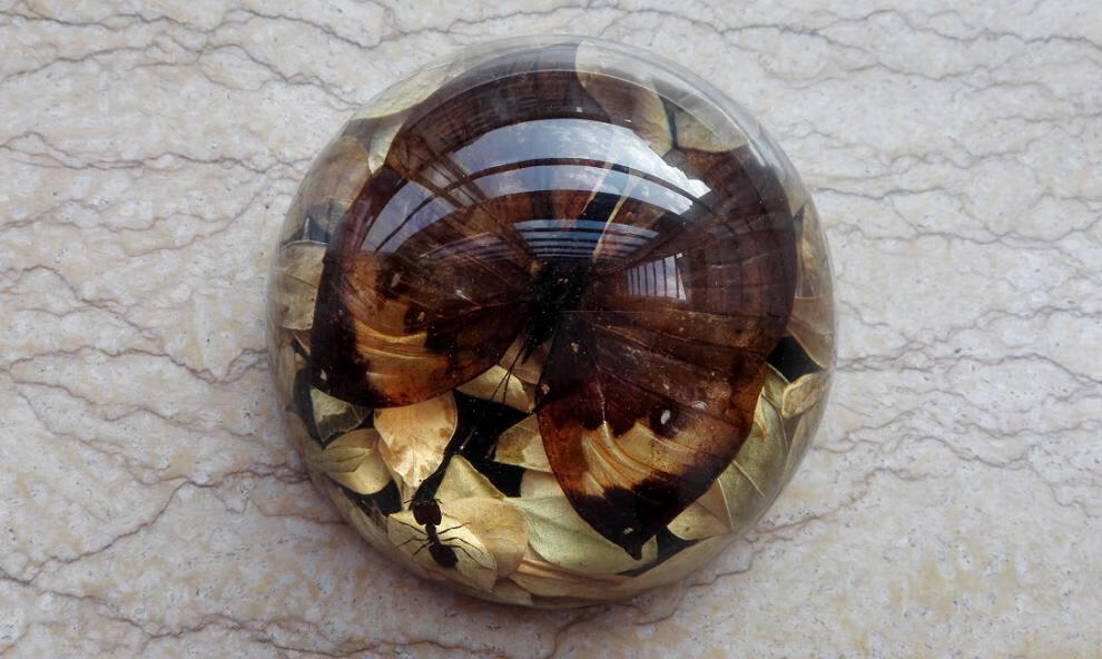 人工琥珀摆件昆虫标本真蝴蝶花透明树脂半球形家居装饰创意礼品bj0711