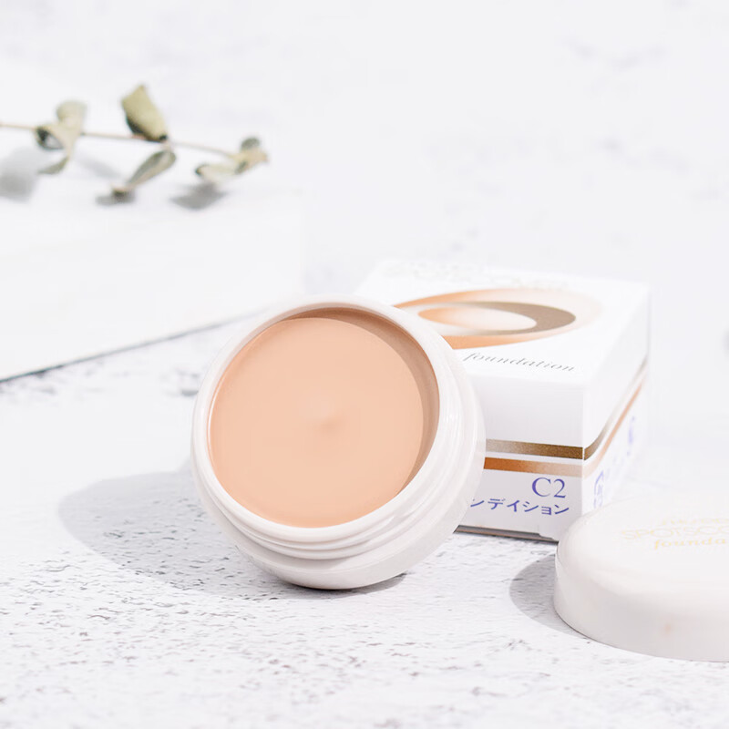 Shiseido Spots Cover Foundation H100 20g