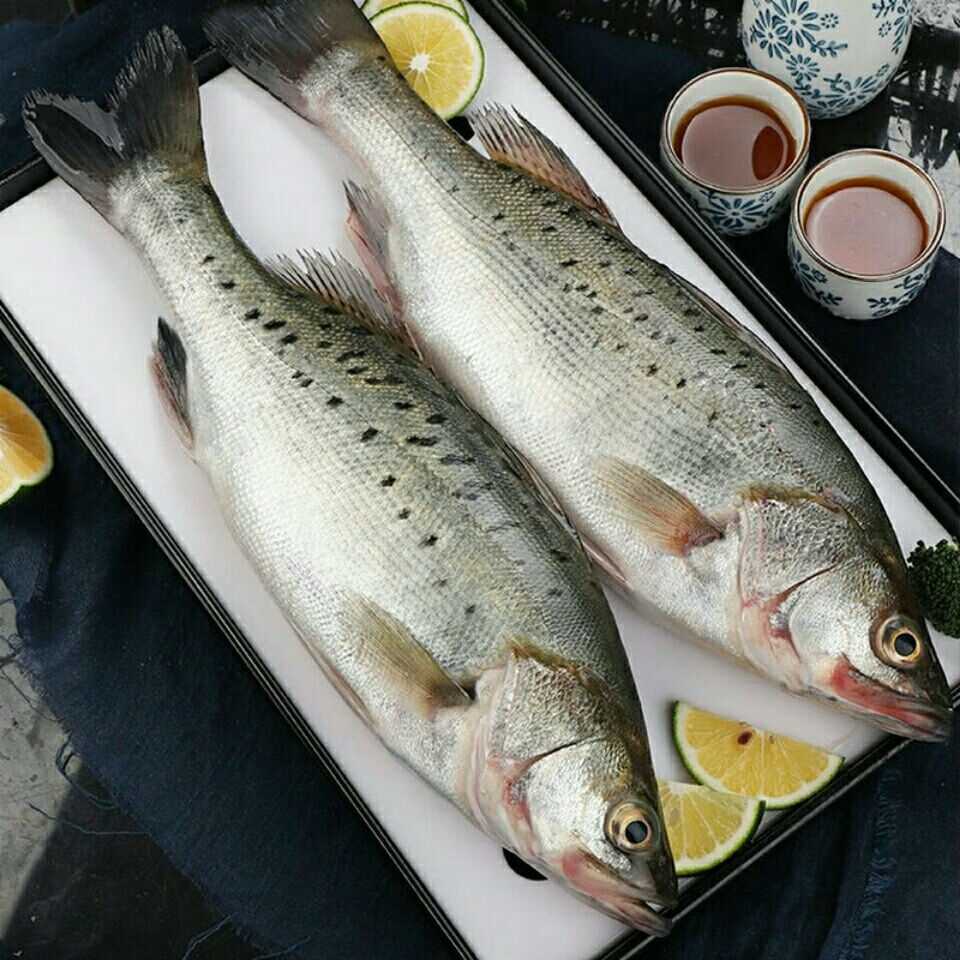 新鲜活冻海鲈鱼 国产鱼生鲜鱼类海鱼海鲜水产去鳃去鳞去内脏 每条1.