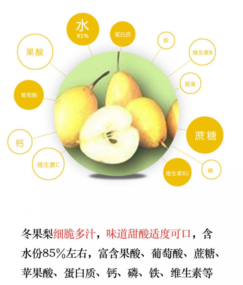 媚调冬果梨兰州特产热煮冬果多汁梨香水梨新鲜水果农家现摘pk东北梨 5