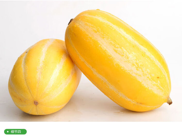 新鲜九道沟黄金蜜瓜丰田瓜香瓜甜瓜香脆清甜孕妇水果10斤