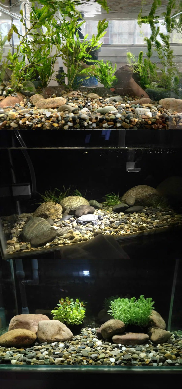 vakada5斤大矶沙河沙溪流砂沙雨花石水族鱼缸底砂子造景石头溪水石