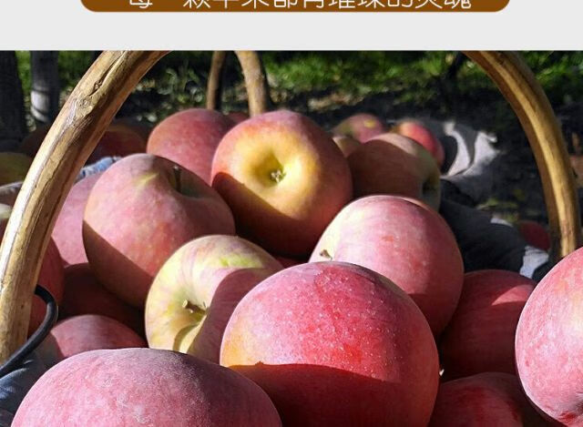 红旗坡新疆阿克苏冰糖心苹果10斤脆甜水果新鲜红富士当季整箱丑萍果5