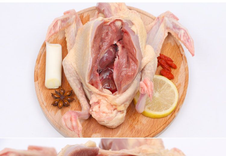 鸽子新鲜鸽肉5年老鸽3只装新鲜乳鸽子白条农家散养杂粮喂养大补姒桀